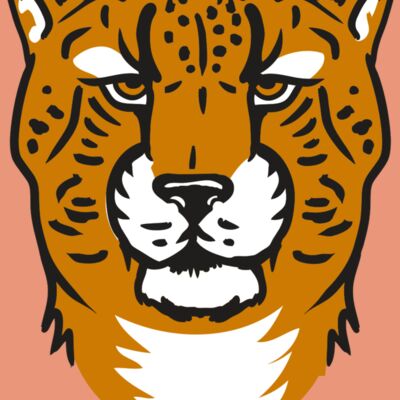 AR32 CHEETAH 01 RQC Thumbnail