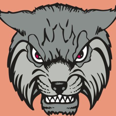 BAW BOBCAT 02 RC Thumbnail