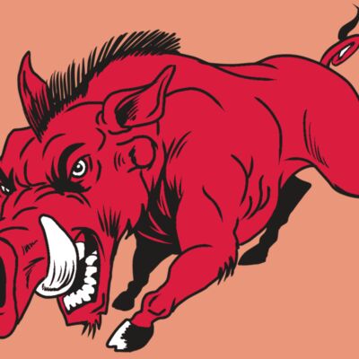 AR22 RAZORBACK 01 RQC Thumbnail