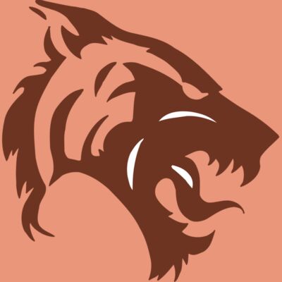 AR5 TIGER 06 RQC Thumbnail