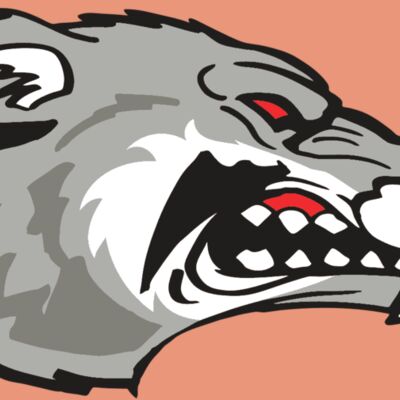 AR WOLVERINE 13 RC Thumbnail