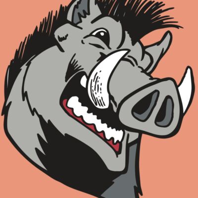 AR RAZORBACK 15 RC Thumbnail