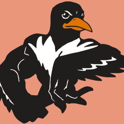 AR ORIOLE 22 RC Thumbnail