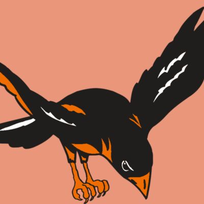 AR ORIOLE 16 RC Thumbnail