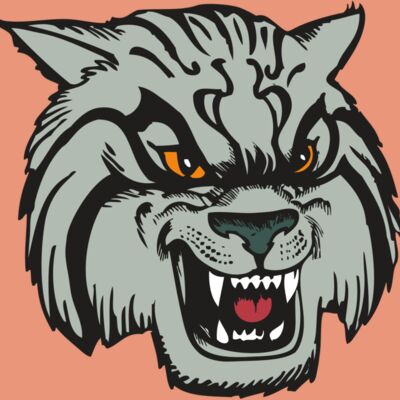 BAW WILDCAT 03 RC Thumbnail