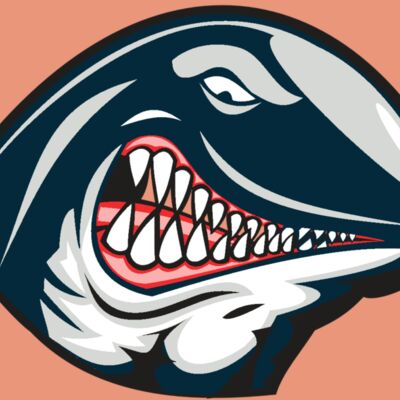 WHALE HD0501 RQC Thumbnail