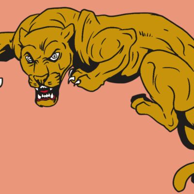 AR10 PANTHER 02 RQC Thumbnail