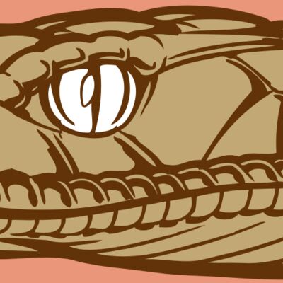 BAW SNAKE 12 RC Thumbnail