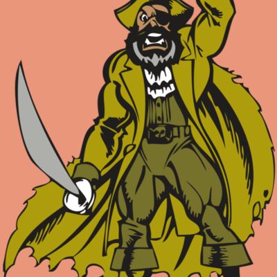 BAW PIRATE 12 RC Thumbnail