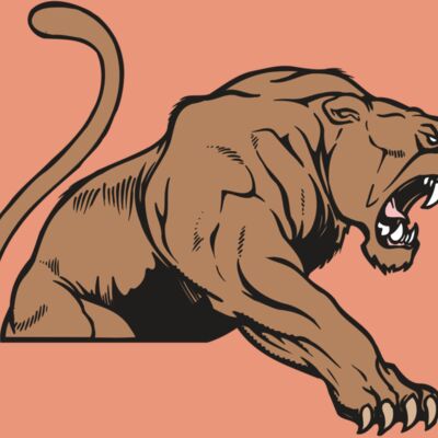 AR COUGAR 55 RC Thumbnail