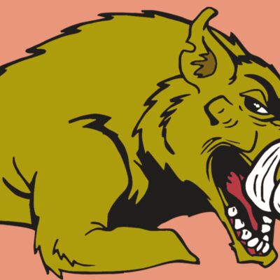 AR RAZORBACK 23 RC Thumbnail