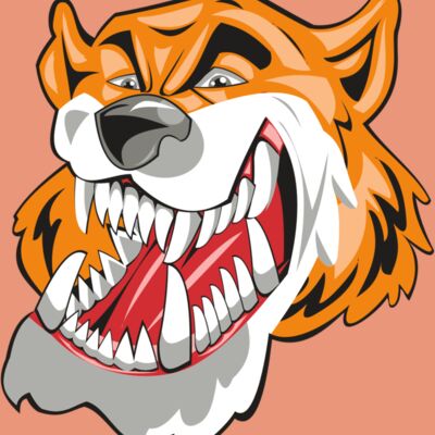 TIGER HD0504 RQC Thumbnail