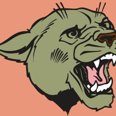 AR COUGAR 40 RC Thumbnail