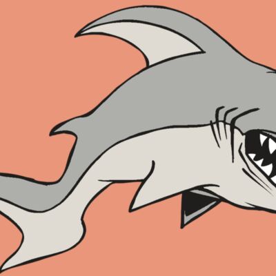 AR5 Shark 10 RQC Thumbnail