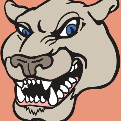 AR5 COUGAR 10 RQC Thumbnail