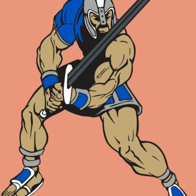 AR PALADIN 38 RC Thumbnail