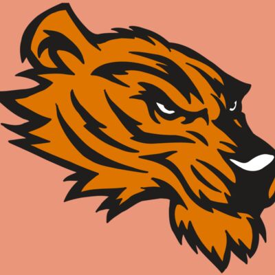 AR5 Tiger 05 RQC Thumbnail