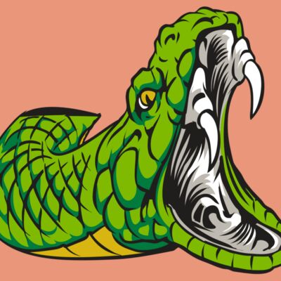 AR30 SNAKE 01 RQC Thumbnail