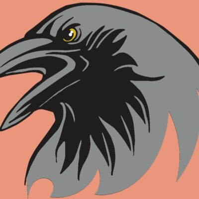 AR31 RAVEN 02 RQC Thumbnail