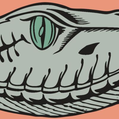 BAW SNAKE 10 RC Thumbnail