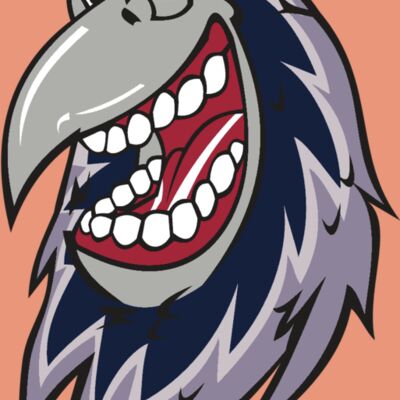 RAVEN HD0503 RQC Thumbnail