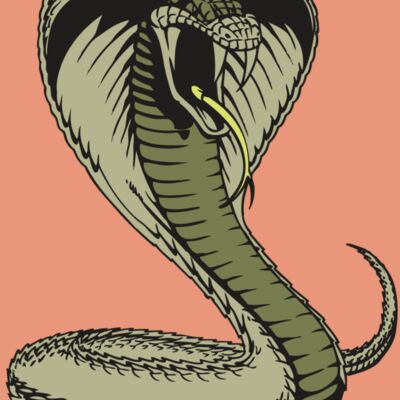 BAW SNAKE 07 RC Thumbnail