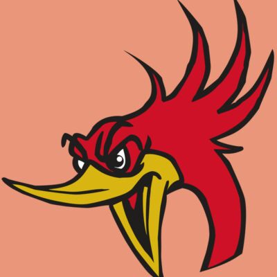 AR31 ROADRUNNER 02 RQC Thumbnail