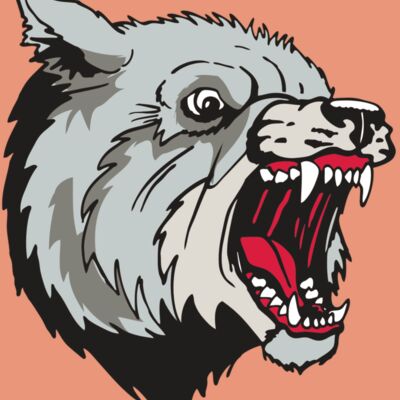 AR WOLF 38 RC Thumbnail