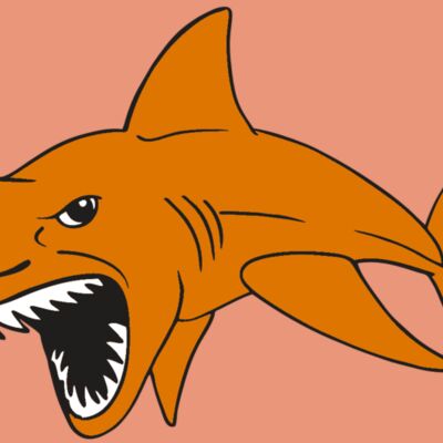 AR  SHARK 20 RC Thumbnail