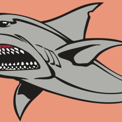 BAW SHARK 03 RC Thumbnail