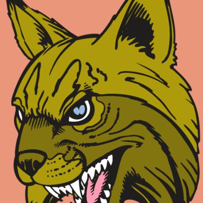 BAW BOBCAT 05 RC Thumbnail