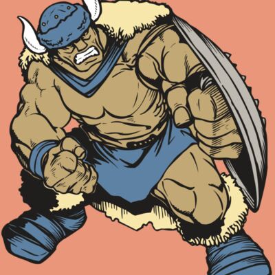 AR VIKING 36 RC Thumbnail