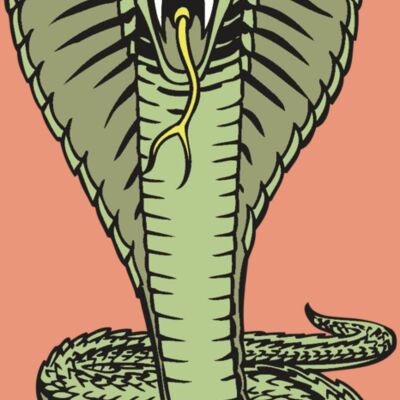 BAW SNAKE 15 RC Thumbnail