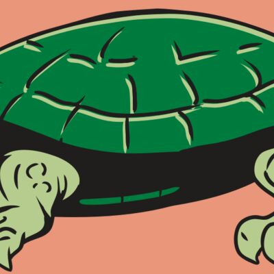 AR32 TURTLE 01 RQC Thumbnail