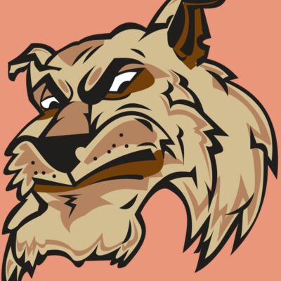 WILDCAT HD0501 RQC Thumbnail