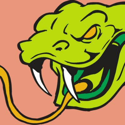 AR SNAKE 11 RC Thumbnail