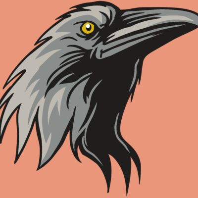 AR31 RAVEN 01 RQC Thumbnail