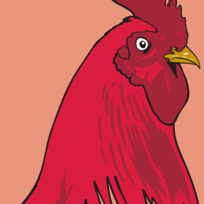 AR OTHER 19 RC Thumbnail