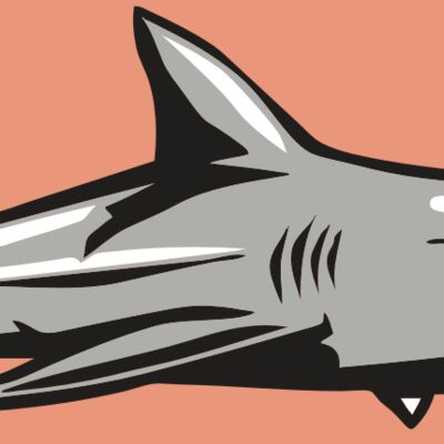 AR9 SHARK 01 RQC Thumbnail