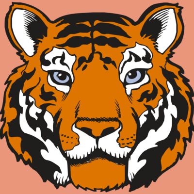 BAW TIGER 02 RC Thumbnail