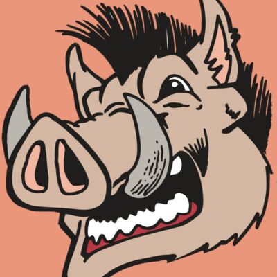 AR RAZORBACK 18 RC Thumbnail