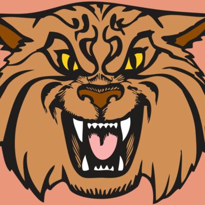 BAW WILDCAT 04 RC Thumbnail