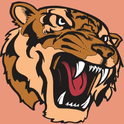 BAW TIGER 07 RC Thumbnail