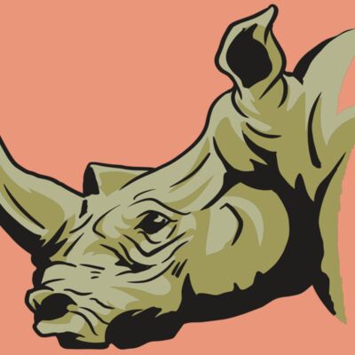 AR9 RHINO 02 RQC Thumbnail