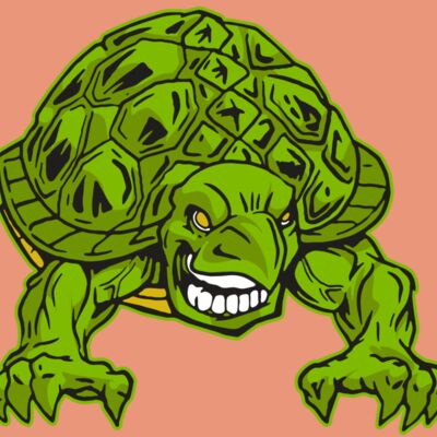 AR31 TURTLE 03 RQC Thumbnail