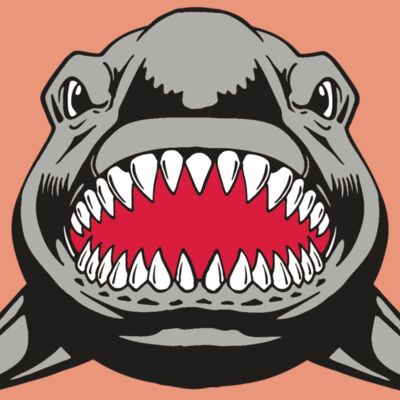 AR  SHARK 25 RC Thumbnail