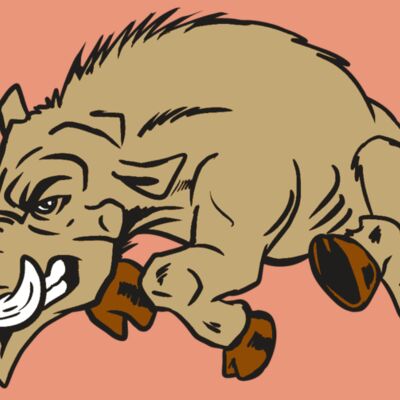 AR20 RAZORBACK 37 RQC Thumbnail