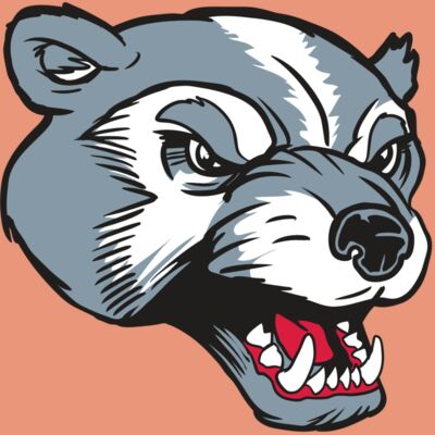 AR13 WLVRN 02 RQC Thumbnail