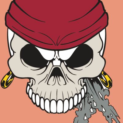 AR PIRATE 79 RC Thumbnail