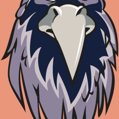 RAVEN HD0502 RQC Thumbnail